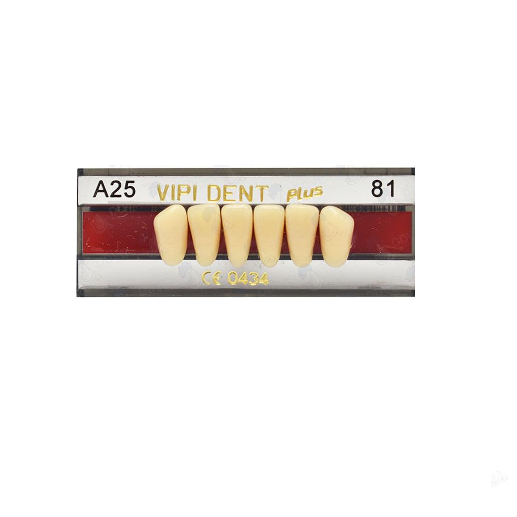 VIPI DENT A25 ANT INF C-81
