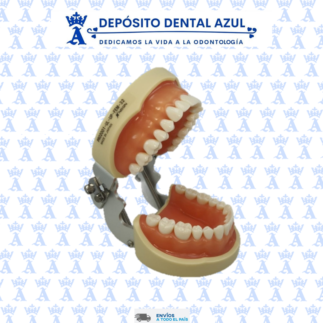TIPODONTO NISSIN 32 DIENTES APER TOTAL